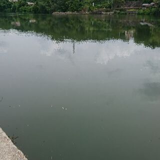 愛知、三重、岐阜でバス釣りされる方いませんか？ - 名古屋市