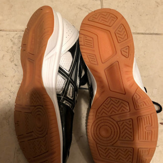 小学生 バレーシューズの画像