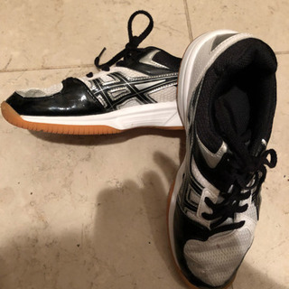 小学生 バレーシューズの画像