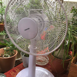 扇風機です。