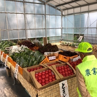 野菜無人販売のメンバー募集 − 三重県