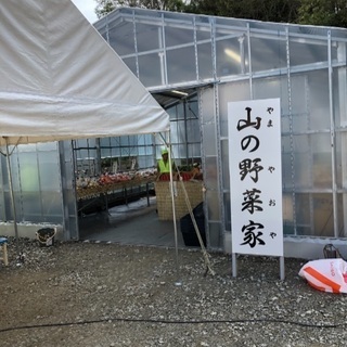 野菜無人販売のメンバー募集 - その他