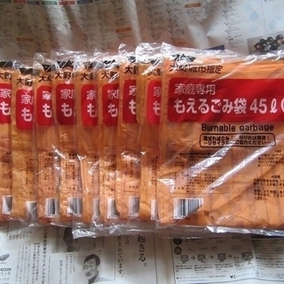大野城市指定 燃えるごみの袋 （家庭用・大・45L） 10枚入 ...