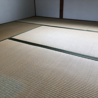 本間畳6枚タダで差し上げます。