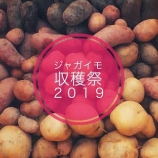 野菜の棲家 じゃがいも収穫祭&ランチ会♪