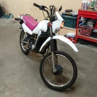 ヤマハ ＤＴ５０