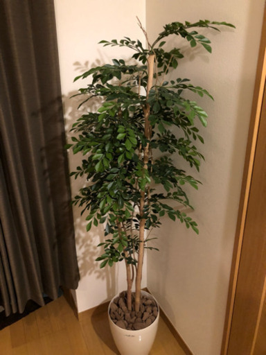 光触媒観葉植物 光の楽園 トネリコ 高さ1.6m【インテリアグリーン フロアタイプ 人工観葉植物 大型】