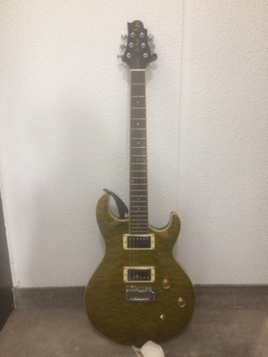 エレキギター greg bennett