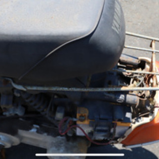 ベルーガ スクーターの画像