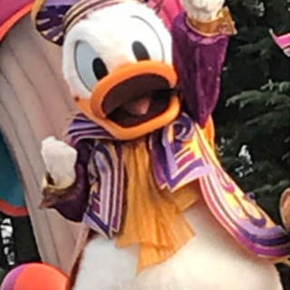 ディズニー  インパ友達募集 − 千葉県
