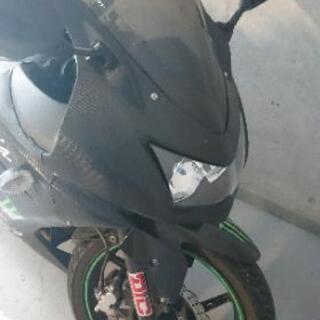 Kawasaki ninja250r 2012年式の画像