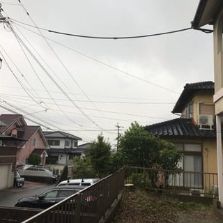 福岡大木切ります 大きな木きります 伐採 植木撤去 草刈り 除草 剪定 抜根 高所枝切り格安 - 剪定/造園