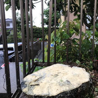 福岡大木切ります 大きな木きります 伐採 植木撤去 草刈り 除草 剪定 抜根 高所枝切り格安 - 太宰府市
