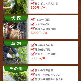 福岡大木切ります 大きな木きります 伐採 植木撤去 草刈り 除草 剪定 抜根 高所枝切り格安 − 福岡県