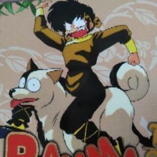 らんま1/2　DVDBOXの画像