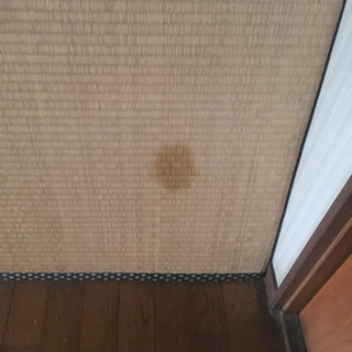 畳 中古の画像