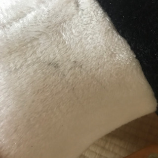 パンダの乗り物 交渉中の画像
