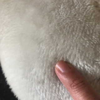 パンダの乗り物 交渉中の画像
