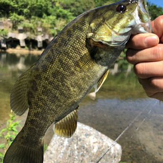 埼玉でバス釣りしてます！！ - 狭山市
