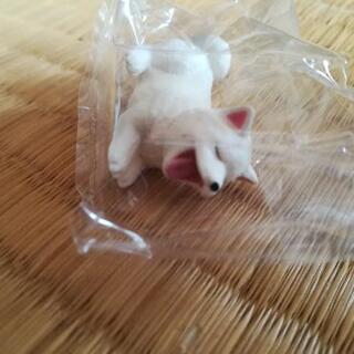 【新品】 柴犬７　3種セットの画像