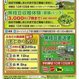 丹波篠山黒枝豆販売の画像