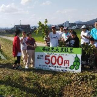 丹波篠山黒枝豆販売 - その他