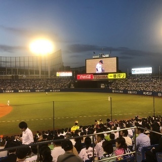 ヤクルトのグルチャメンバー大募集❗️❗️❗️