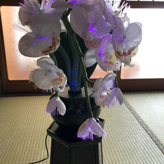 造花(LED)の画像
