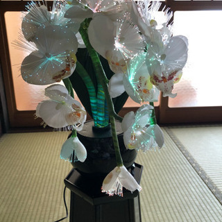造花(LED)の画像
