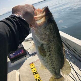 浜松、豊橋バス釣りボート仲間