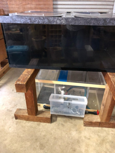 アクリル水槽 値引き交渉あり