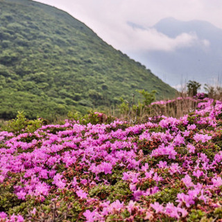 20代 ゆるゆる夏山登山〜がっつり雪山