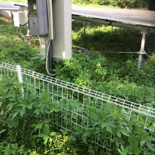 いわき市  四倉　太陽光パネル設置　運び手募集　短期の画像