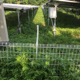 いわき市  四倉　太陽光パネル設置　運び手募集　短期の画像