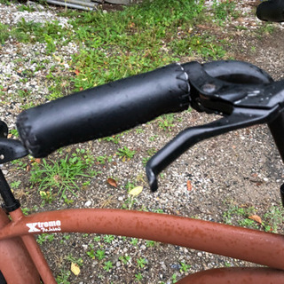 打ち合わせ中 ファットバイク エクストリームレインボー