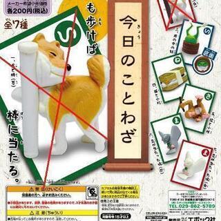 【新品】今日のことわざ　5種セット