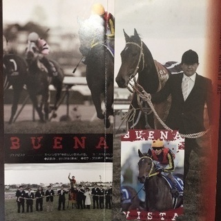 ブエナビスタ オーナーズクラブ作成クオカードの画像