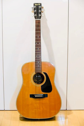 弦楽器、ギター Morris MD-501 Acoustic Classic Guitar, Made in Japan