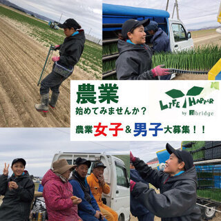北海道地産 農作物の収穫・選別 マイカー通勤 住み込み可能！