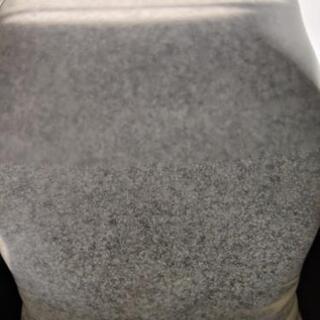 めだかの針子の餌。の画像
