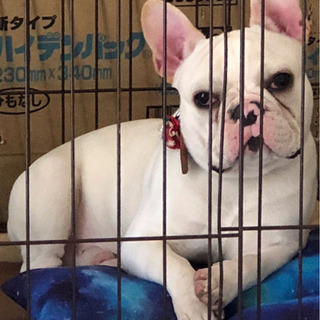 ★里親様決まりました★