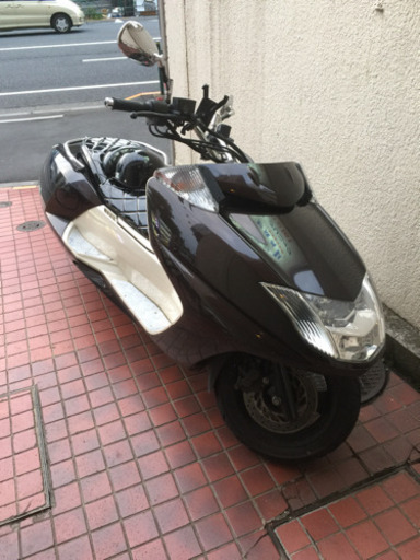 マグザム SG21J カスタム ブラウン