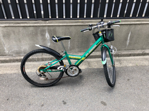 24インチ ジュニアマウンテン