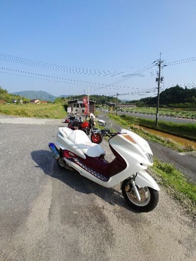 個人分割***「「Ok  ご相談くださいね！るる」」値下げしました。現車確認と、試乗してください。ヤマハ　マジェスティ250 5連メーター　カッコいいマシンです、