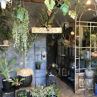 「Botanical Shop GABA」で生花、植物、雑貨などの販売