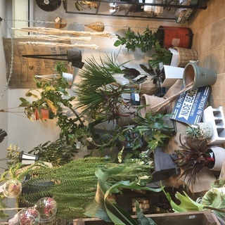 「Botanical Shop GABA」で生花、植物、雑貨などの販売の画像