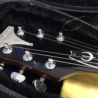 エピホン ワイルドキャット Epiphone Wildkatの画像