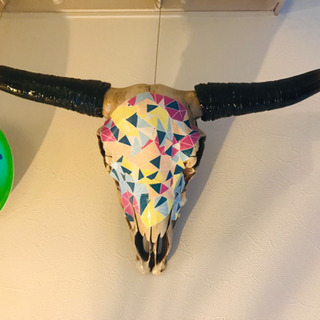 Cow skullの画像