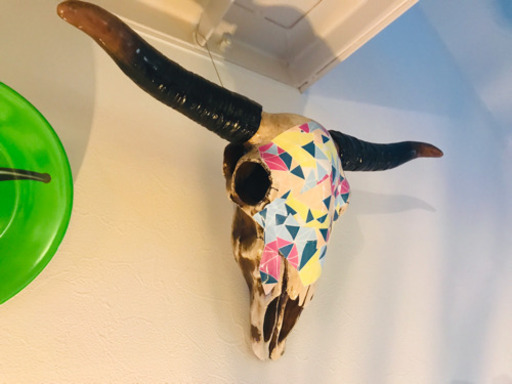 置物、オブジェ Cow skull