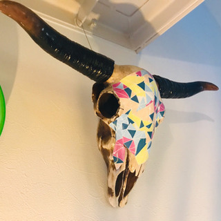 Cow skull